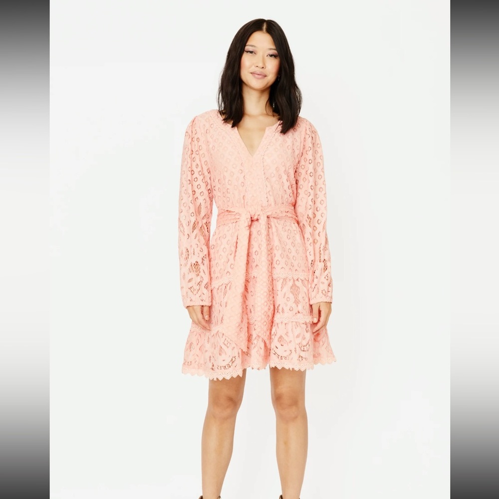 Roller Rabbit Pink Lace Dress New With Tags NWT